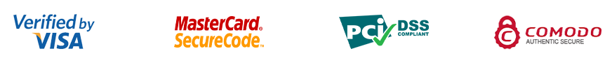 Security icon